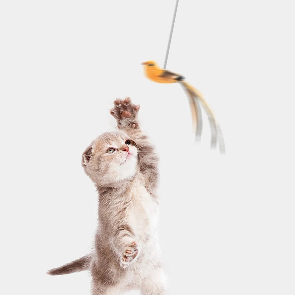 BirdLift™ – Jouet Automatique Ascendant pour Chat