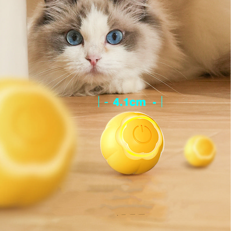Balle automatique "Pet smart" anti ennui.