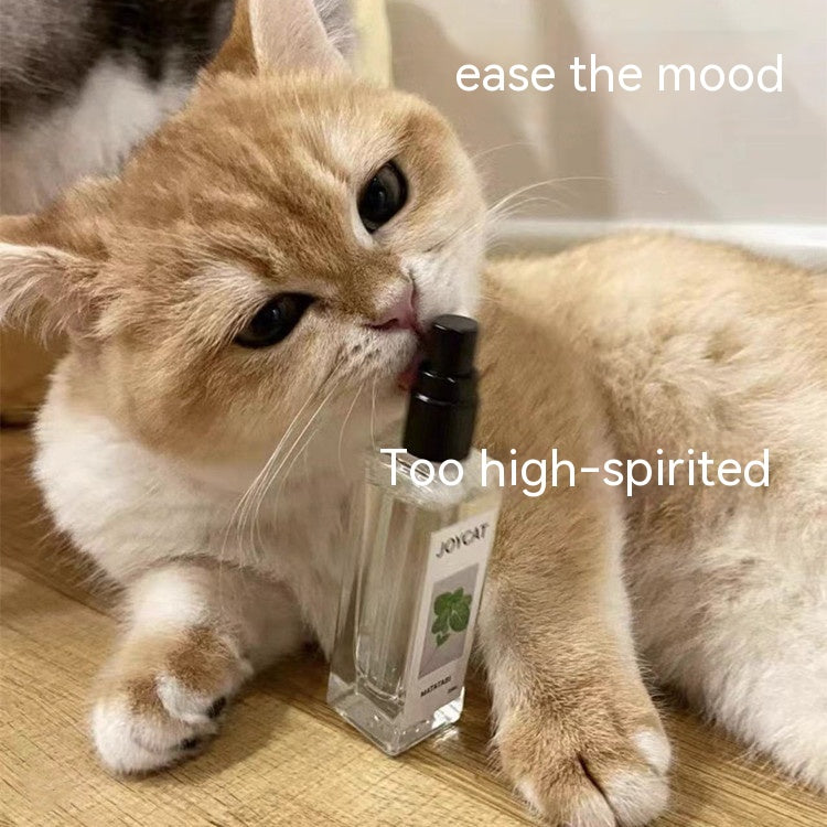 Joy cat - Spray anti-stress au matabi