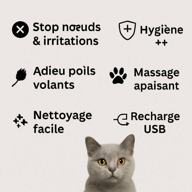 Brosse vapeur démêlante Atoutsteam™