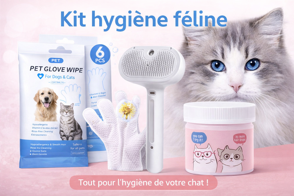 Kit hygiène féline : Brosse + Gants nettoyage à sec + Lingettes yeux