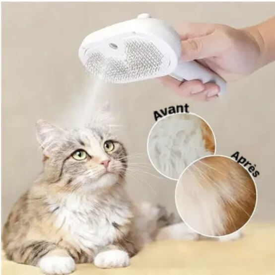 Brosse vapeur démêlante Atoutsteam™