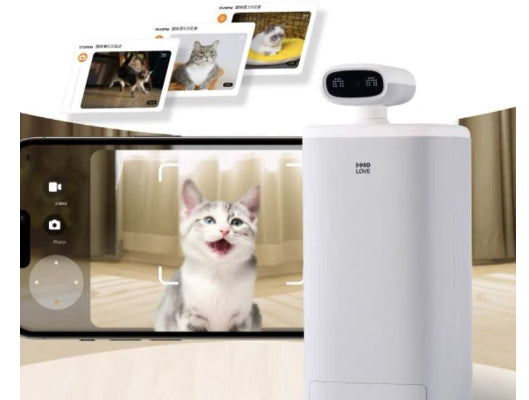 Distributeur Automatique Intelligent pour Chat
