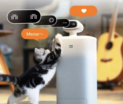 Distributeur Automatique Intelligent pour Chat