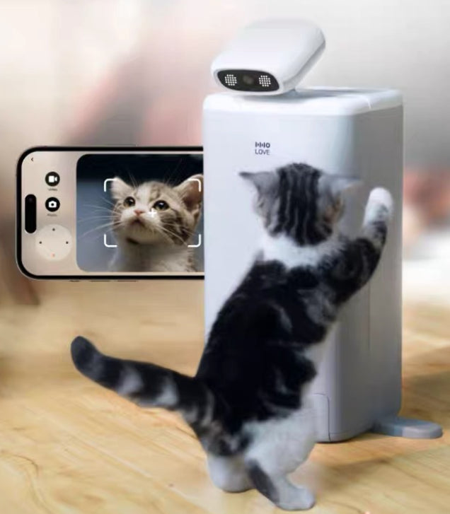Distributeur Automatique Intelligent pour Chat