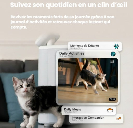 Distributeur Automatique Intelligent pour Chat
