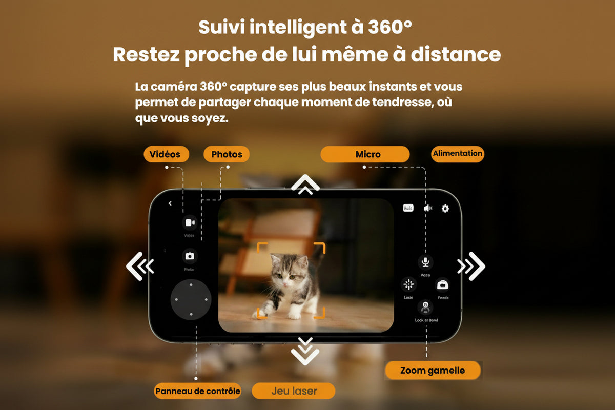 Distributeur Automatique Intelligent pour Chat