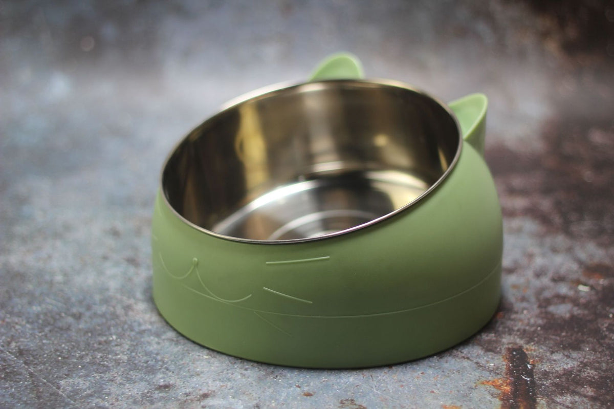Gamelle ergonomique pour chat - Bol incliné et surélevé anti fatigue cervicale