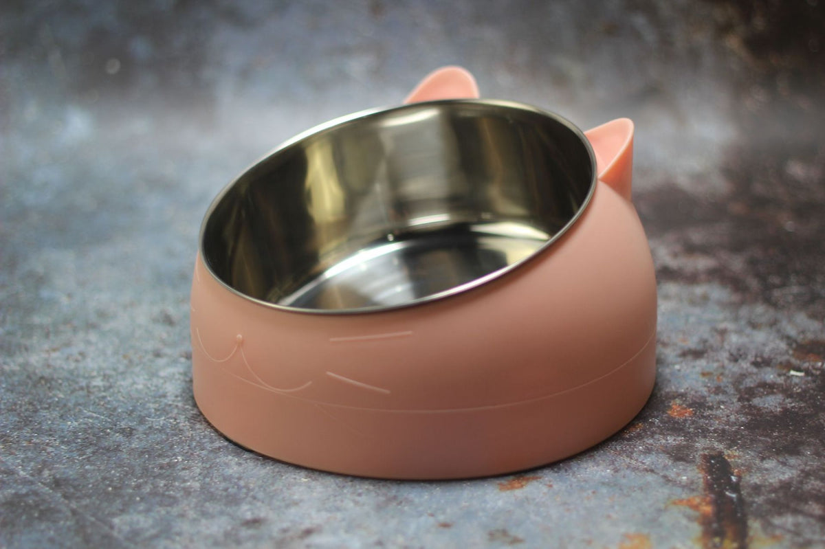 Gamelle ergonomique pour chat - Bol incliné et surélevé anti fatigue cervicale