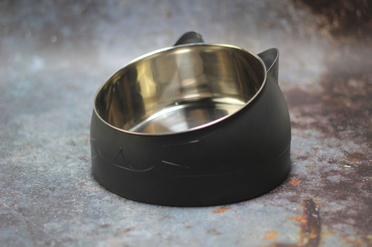 Gamelle ergonomique pour chat - Bol incliné et surélevé anti fatigue cervicale