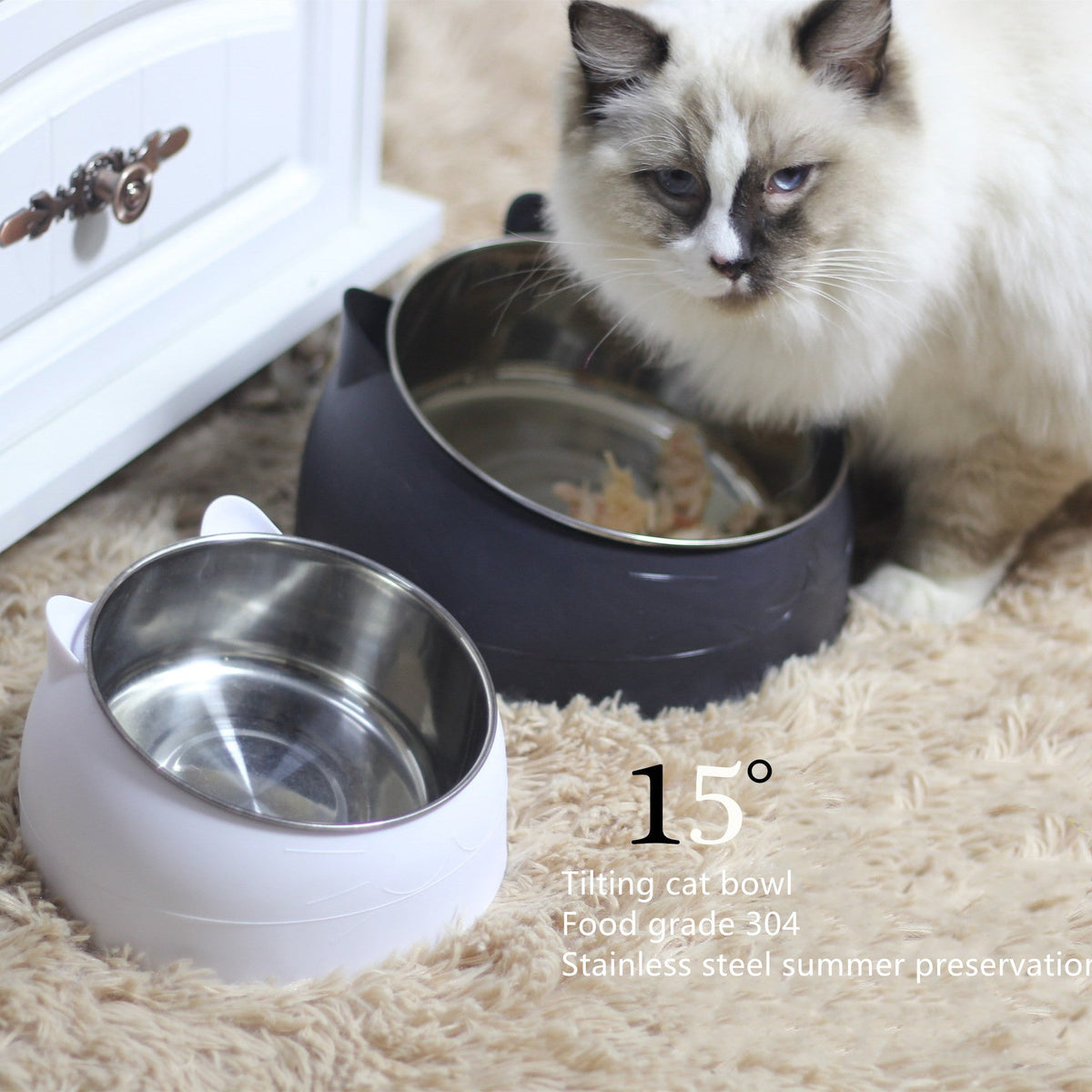 Gamelle ergonomique pour chat - Bol incliné et surélevé anti fatigue cervicale