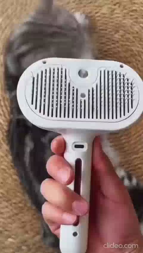Vidéo