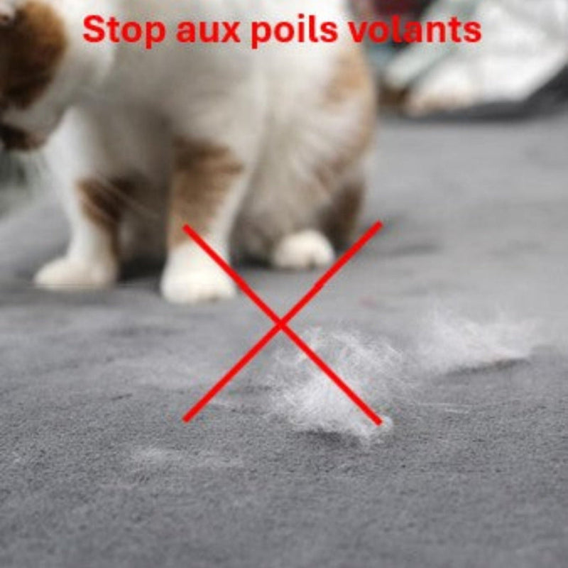 Brosse vapeur démêlante Atoutsteam™